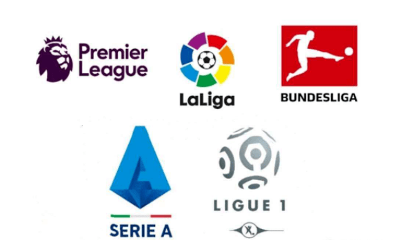 孙颖莎与王 孙颖莎与王